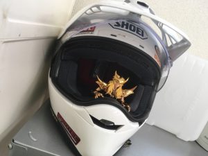 北綾瀬えきよこ整骨院　ヘルメットとフィギュア